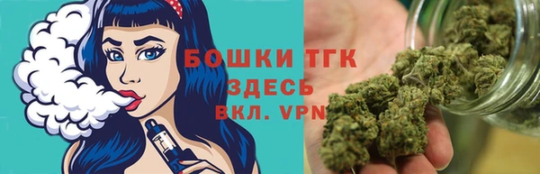 прущий лед Бородино