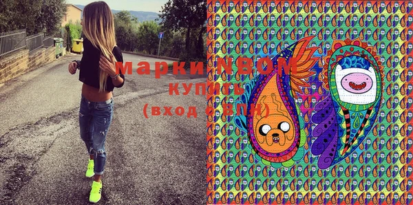прущий лед Бородино