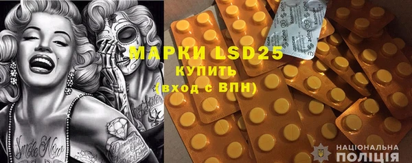 прущий лед Бородино