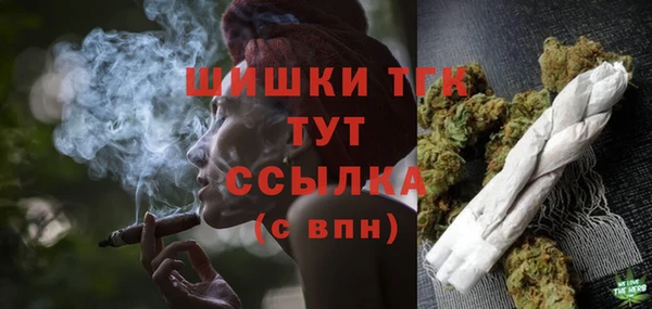 прущий лед Бородино