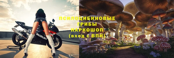 прущий лед Бородино
