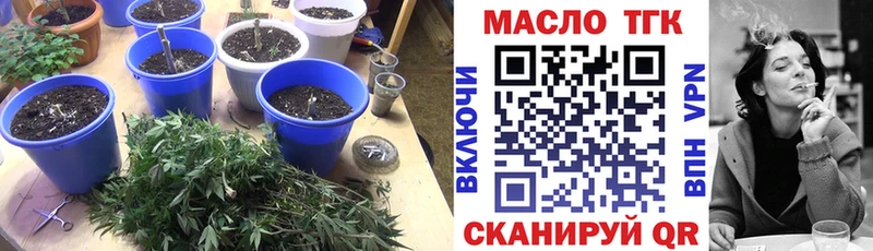 Купить закладки  Межгорье  Дистиллят ТГК гашишное масло 