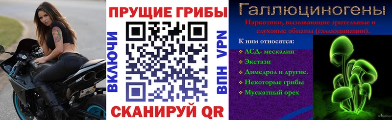 Галлюциногенные грибы прущие грибы  Купить закладки  Межгорье 